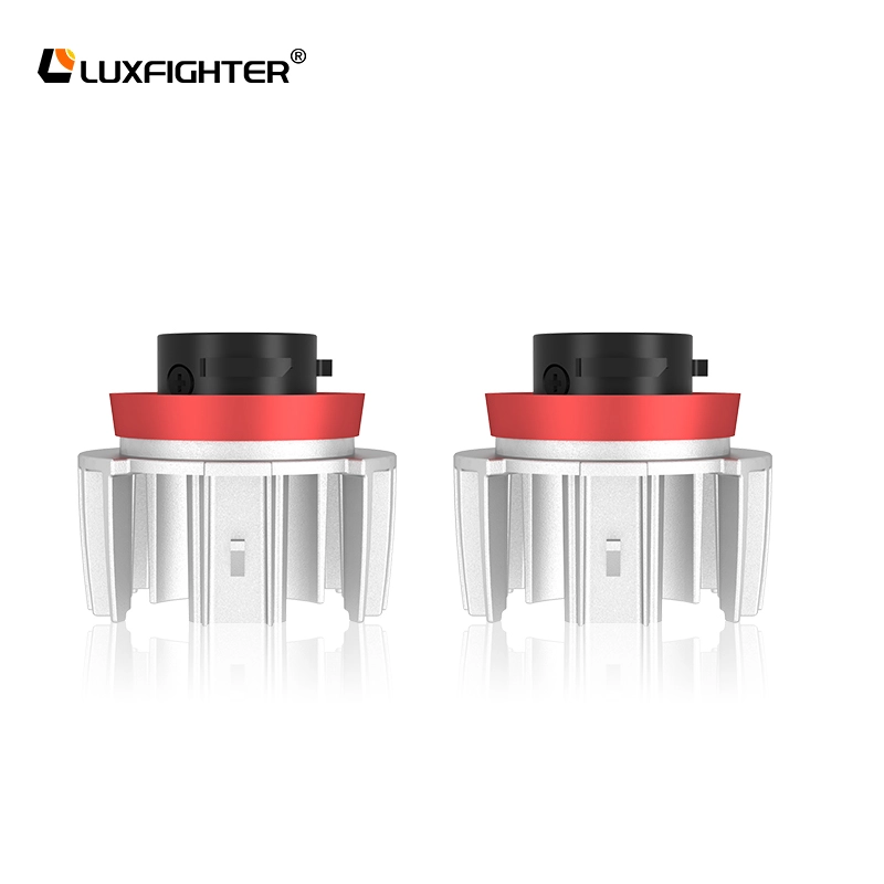 ດອກໝອກບໍ່ມີພັດລົມ L1B